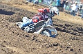 _ROB6965 (Copy)